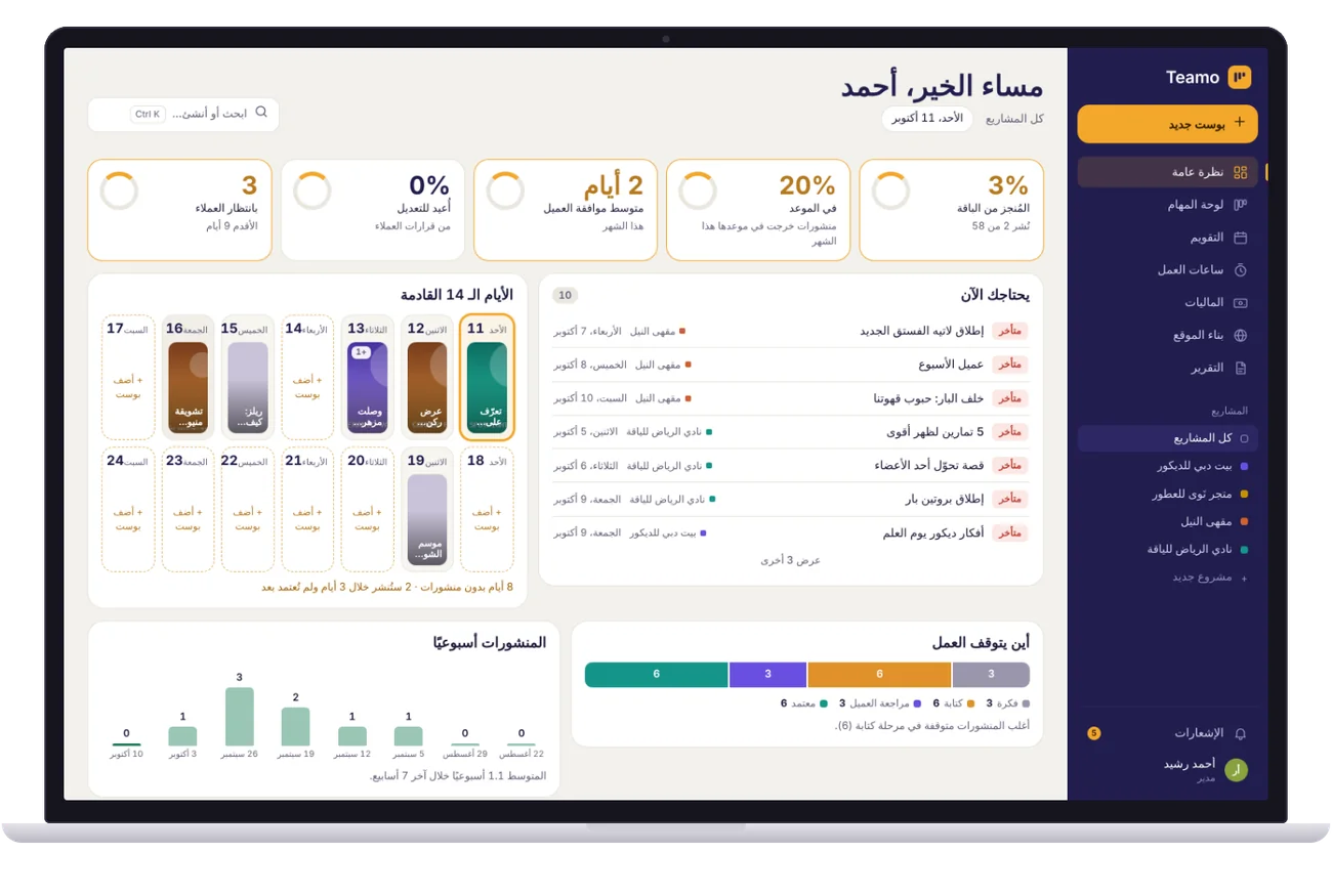 النظرة العامة
